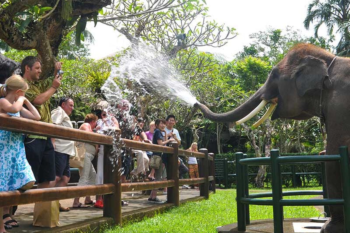 mason park bali